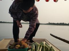 -白洋淀景区