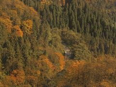 -瓦屋山景区