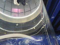 -飞行家太空体验馆(祥云小镇店)