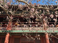 -潭柘寺景区
