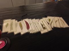 -从启咖啡(五羊邨店)