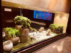 -九洲喜来登酒店湖月日餐厅