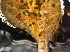 -九府羊·鲜羊火锅·烤串(新华路店)