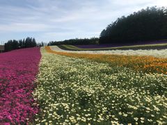 -富田农场