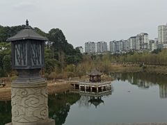 -眉山湿地公园(东坡区)