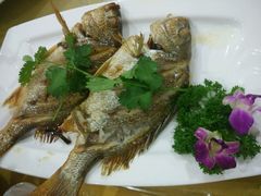 -鑫悦楼煎蟹·16年海鲜大排档
