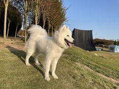 -武汉紫薇都市田园