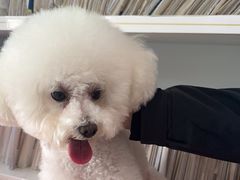 -爱侣宠医·鹦鹉专科·小型哺乳类·异宠专科(灵石路店)