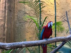 -杭州开元森泊度假乐园