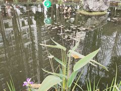 -温江公园