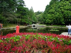 -庐山风景区花径公园