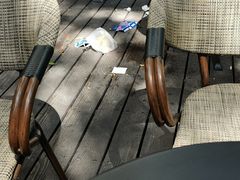 -VESH COFFEE(定西路店)