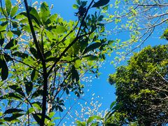 -梧桐山风景名胜区