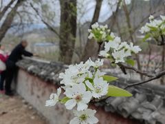 -四门塔风景区