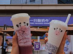 -一只酸奶牛(八一路店)