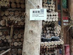 -呀路古热带植物园