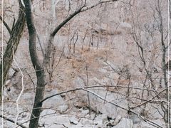 -崂山九水游览区