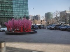 -Plush大堂酒廊(北京金融街威斯汀大酒店)