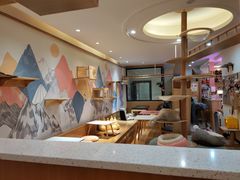 -滚猫咖啡·猫咖·猫友好撸猫(未来城店)