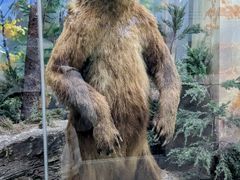 -国家自然博物馆