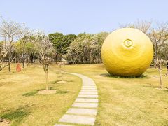 -顺峰山公园
