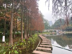 -重庆彩云湖湿地公园
