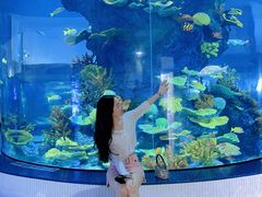 -福州罗源湾海洋世界旅游区