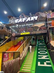 -卡通尼·Safari非洲探索乐园·生日会(金桥国际商业广场店)