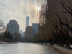 -团结湖公园