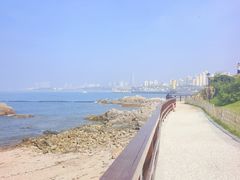 -小麦岛公园