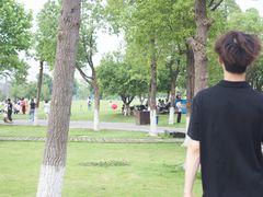 -洋湖国家湿地公园