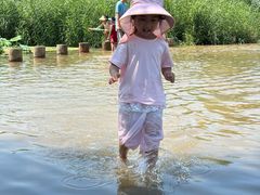 -绿堤公园