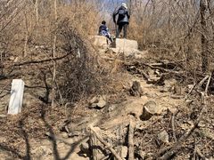 -北京西山国家森林公园