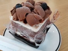 -蒲公英(五里店)