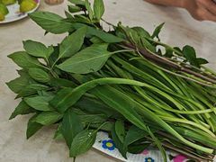 -Pho Hoa Pasteur