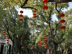 -东湖落雁景区