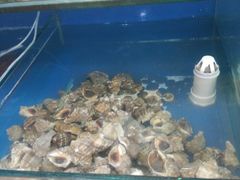 -雅逸居海鲜小厨