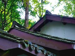 -杭州植物园