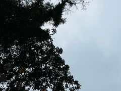 -桂林兴坪漓江