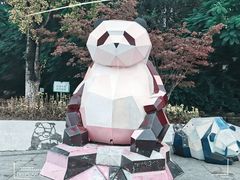 -成都大熊猫繁育研究基地