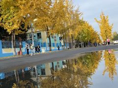 -四川大学(望江校区)