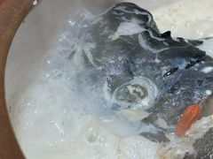-全乐鱼馆·淳牌有机鱼直营店