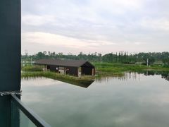 -白鹭湾湿地公园