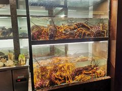 -甄御•海鲜新青岛菜(麦岛店)