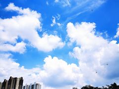 -白石龙音乐公园