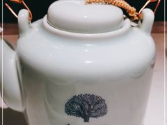 -大榕树下顺德菜(融创茂店)