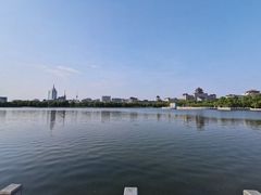 -莲花池公园