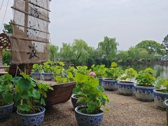 -无锡蠡湖国家湿地公园-蠡园