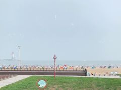 -港畔赶海蒸汽海鲜烧烤自助(仙螺岛店)