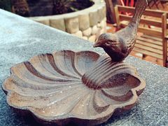 iphone_upload_pic-乌镇那一年小院主题餐厅(甘泉西路店)